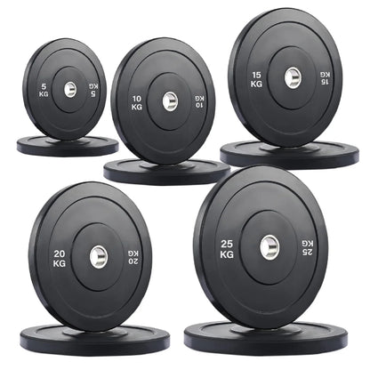 Set of weight plates with labeled weights on a white background