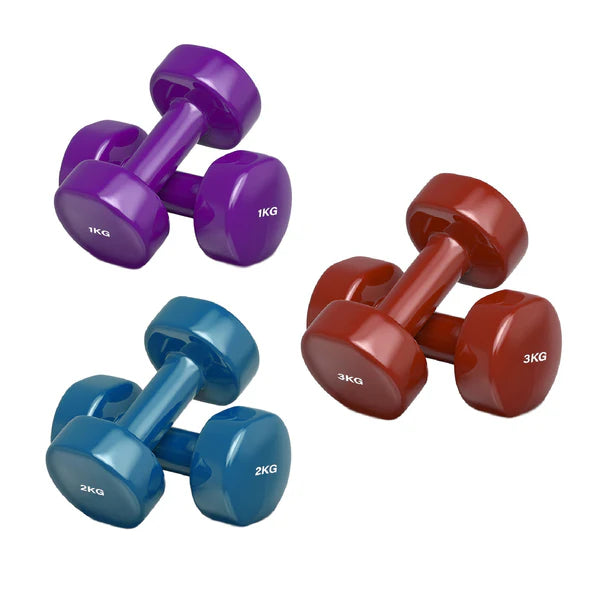 Set of purple, red, and blue dumbbells with weight markings on a white background