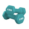 Pair (2 Dumbbells) / Blue