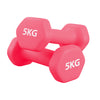 Pair (2 Dumbbells) / Pink