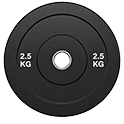 2.5 kg pair